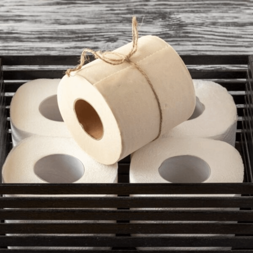 Perché La Carta Igienica Non Deve Essere Gettata Nel Water