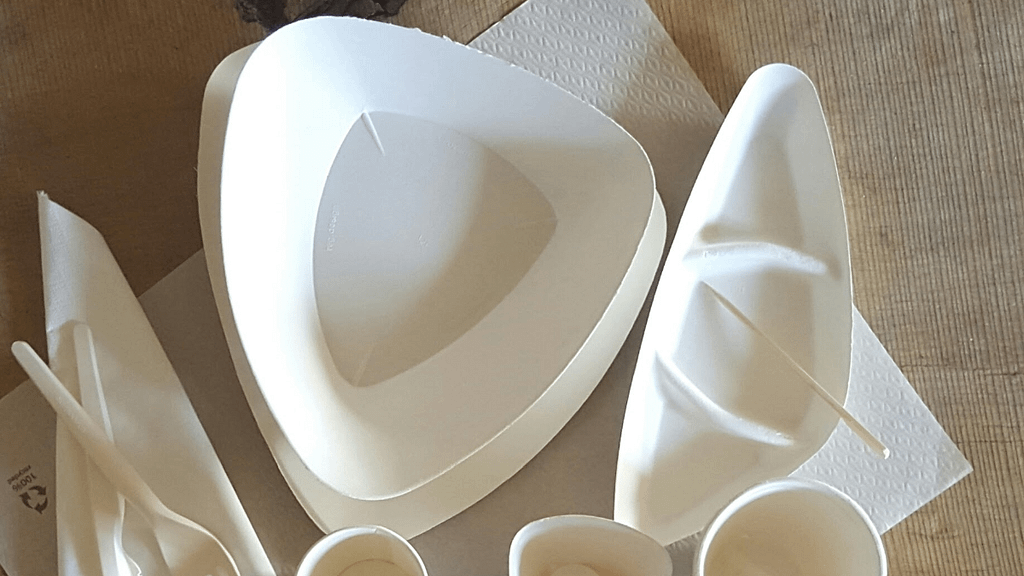 piatti compostabili per buffet