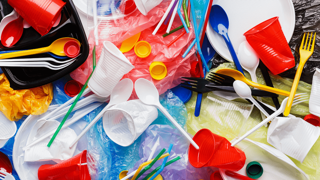 differenza tra compostabile e biodegradabile
