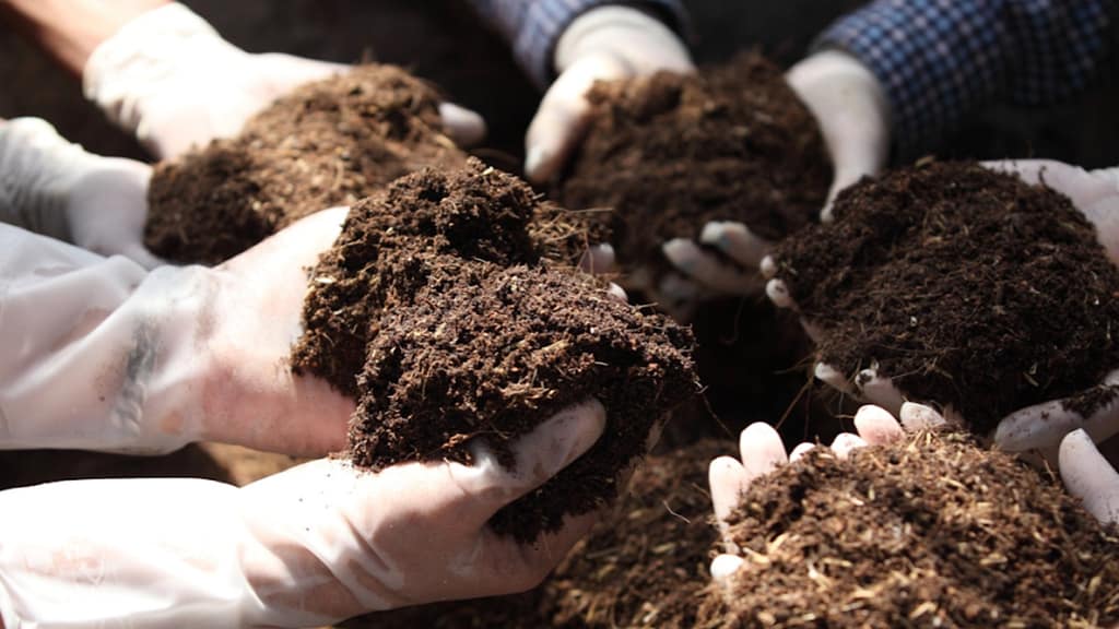mani con compost maturo durante il processo di compostaggio domestico