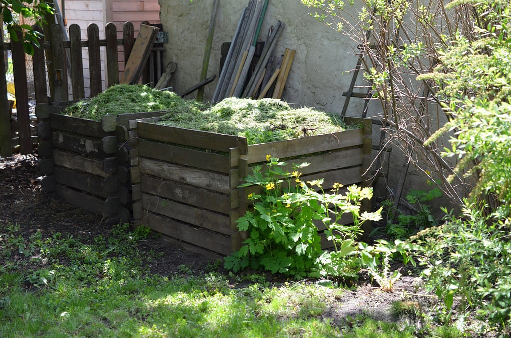 Compostiera fai da te in legno realizzata con bancali, utilizzata in giardino per il compostaggio domestico di erba tagliata e residui vegetali.