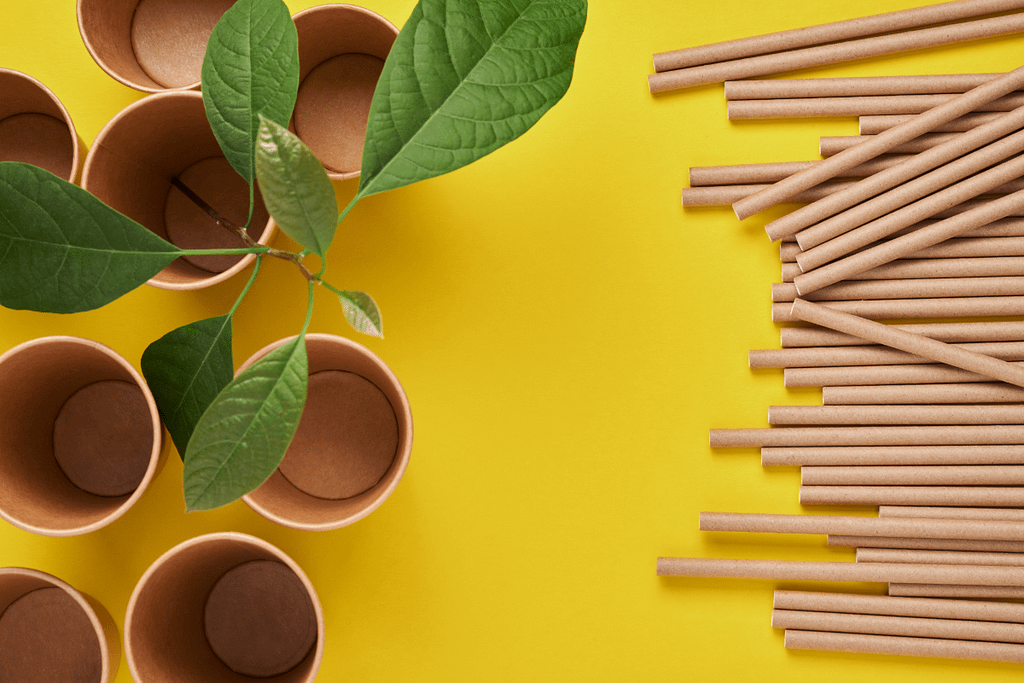 bicchieri monouso di carta, cannucce di carta e una pianta con foglie su sfondo giallo.