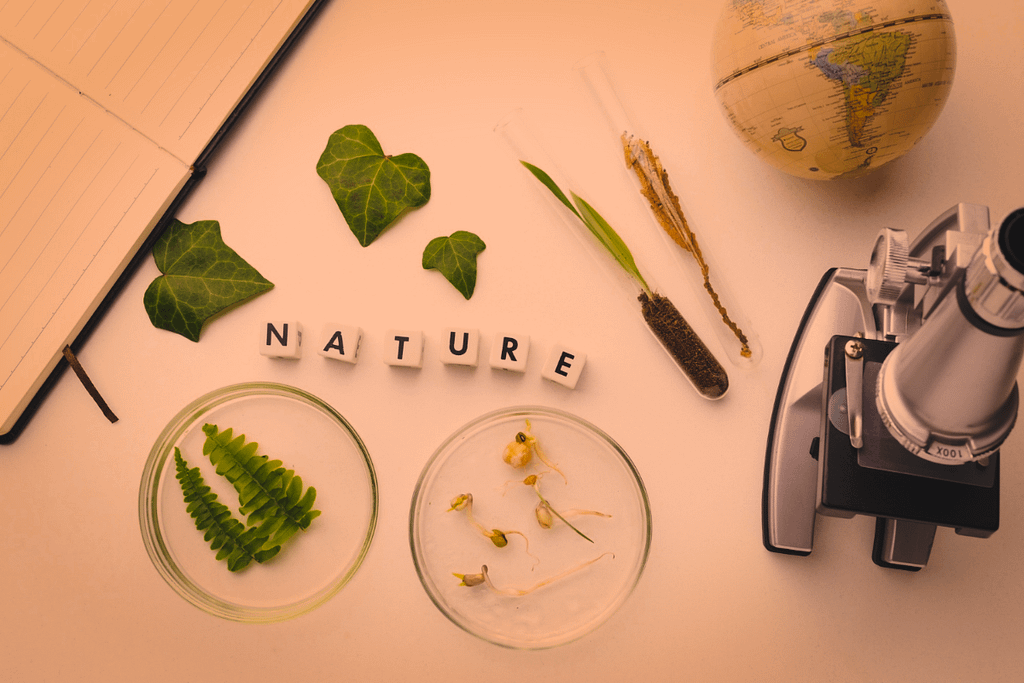 Materiali naturali e ricerca scientifica su compostabilità e bioplastiche con foglie, semi e microscopio.