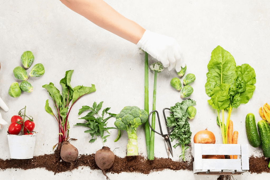 Compost naturale per orto domestico: coltivazione sostenibile con ortaggi e verdure fresche.