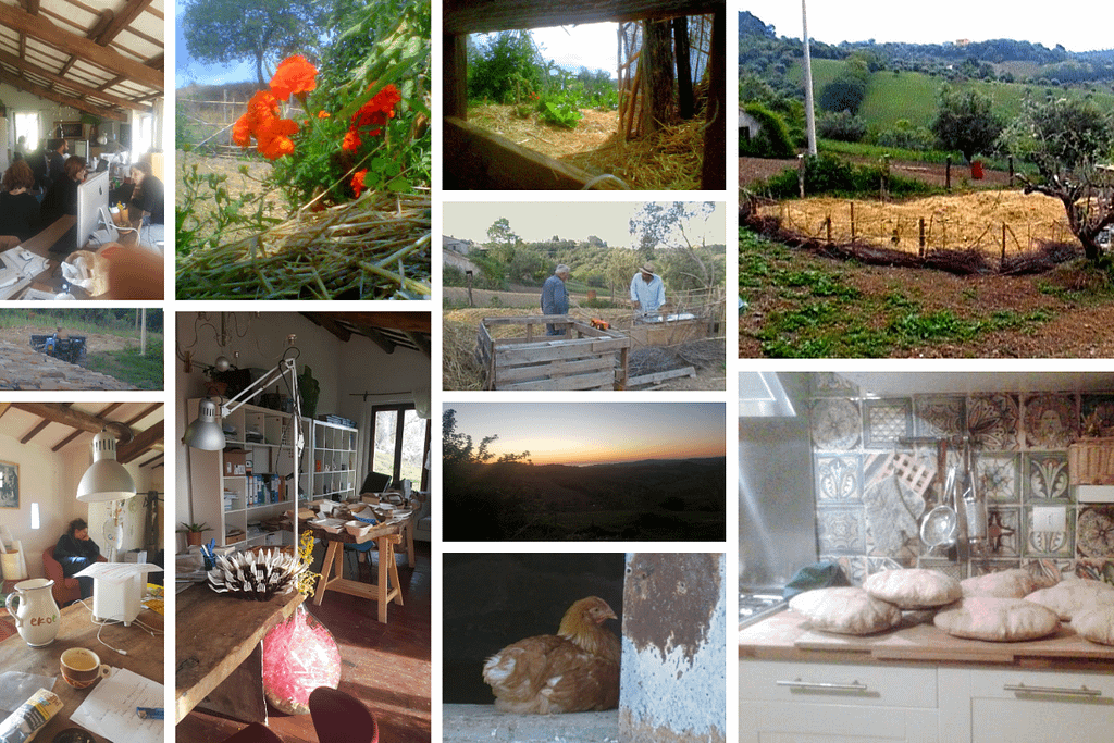 mmagini rurali con orti, animali e pane fatto in casa come blocco visivo della “vita alternativa"