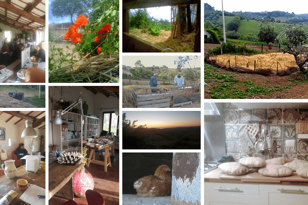 Potager bio, animaux et pain maison – une vie ancrée dans la nature.