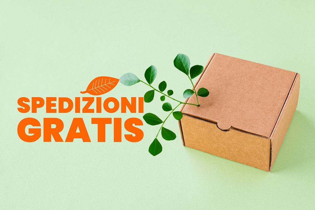 Scatola in cartone con foglie verdi su sfondo verde chiaro e scritta “Spedizioni gratis”