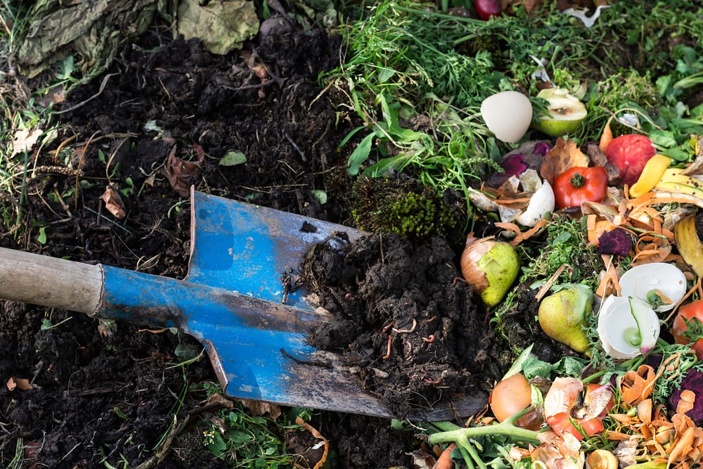 Scarti vegetali, bucce, gusci d’uovo e compost naturale interrati in giardino durante il compostaggio domestico