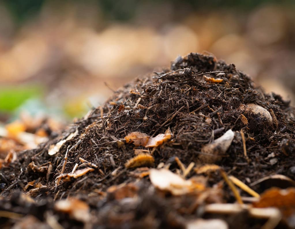 Compost maturo naturale ottenuto da scarti organici durante il processo di compostaggio per orto e giardino