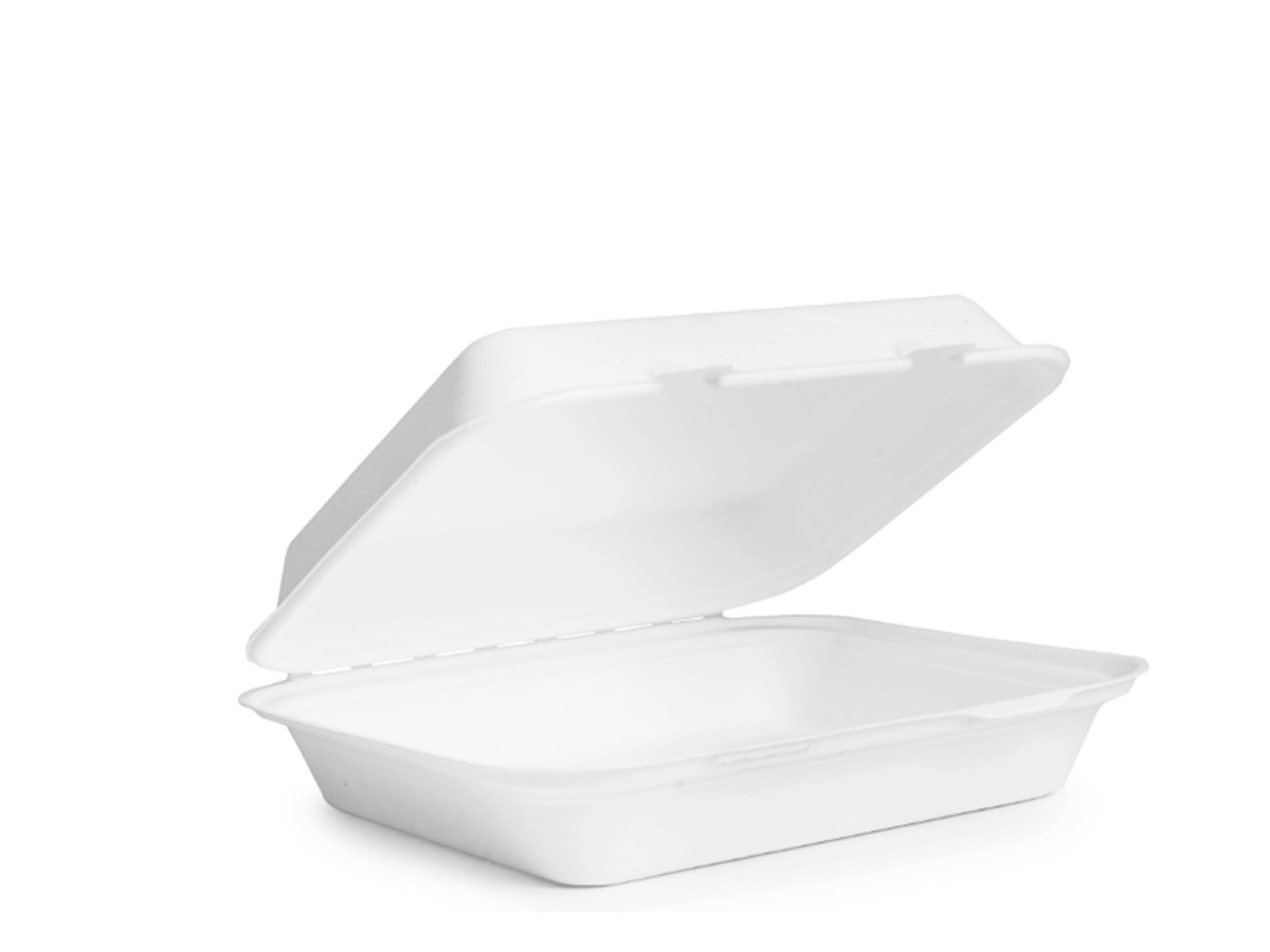 Contenitori compostabili per alimenti caldi da asporto