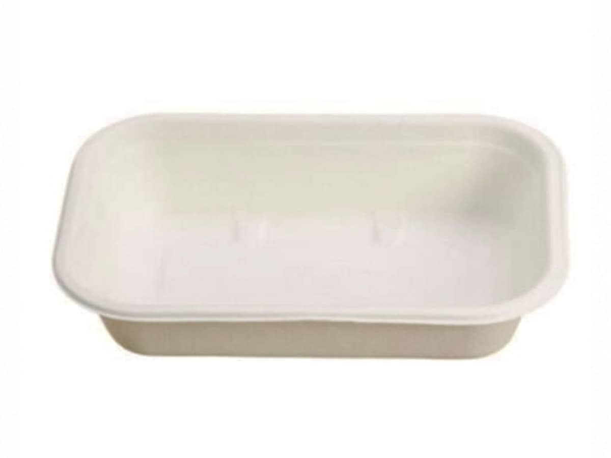 Bacs à glace compostables avec couvercle : solution écologique pour la vente à emporter