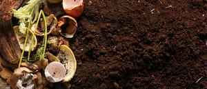 Scarti organici con bucce di frutta, gusci d’uovo e compost naturale durante il compostaggio senza compostiera