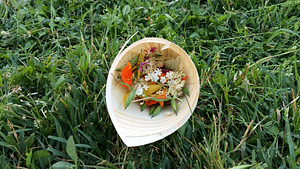 differenza tra compostabile e biodegradabile