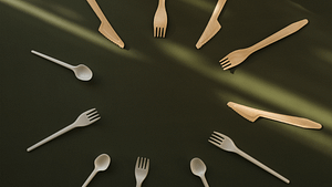 compostabile o biodegradabile