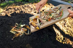 Scarti organici di cucina versati nel compost per compostaggio domestico