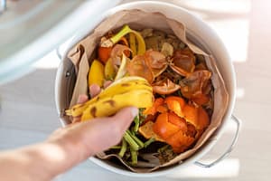 Scarti organici domestici raccolti in un contenitore per l’umido con bucce di banana, agrumi e residui vegetali compostabili.