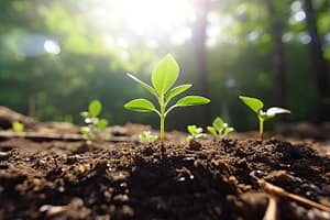Lo spreco alimentare in Italia e nel mondo: l’Agenda 2030