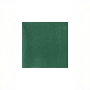 Serviettes en papier vertes 24x24 cm - Pack de 100