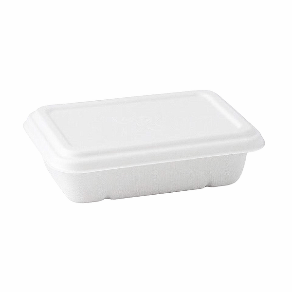 Pots rectangulaires biodégradables de 500 ml, paquet de 250, idéal pour l'alimentation.