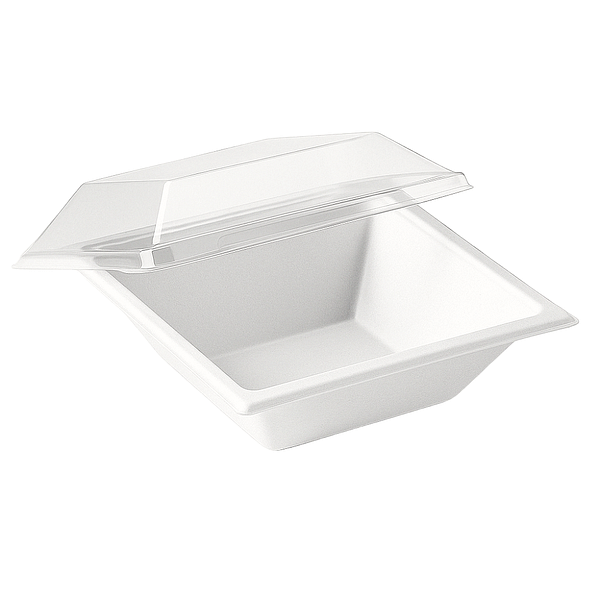 Bols carrés écologiques avec couvercle transparent, 450 ml, lot de 100, compostables.