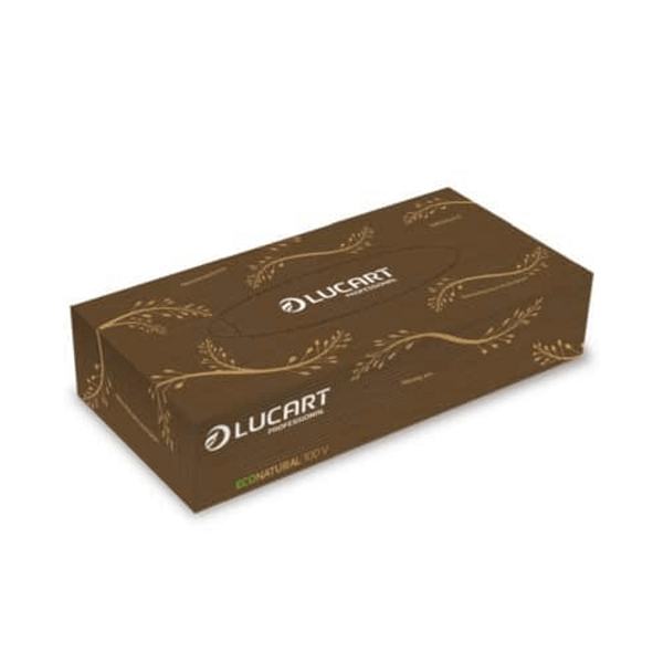 Distributeur de mouchoirs usage multiple - Boîte de 100 mouchoirs pratiques.