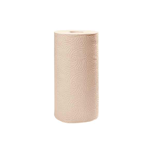 Papier essuie-tout recyclé Havana 2 plis - Paquet de 2 rouleaux écologiques